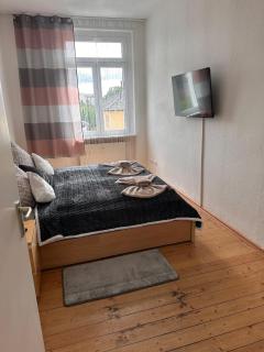 Apartment on Elbe bike path - Magdeburgo - 9