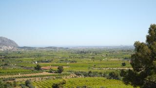 Villa Aguila - Fontilles - 9