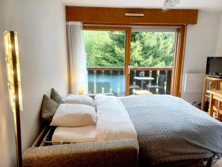 Sur le T M B centre village studio lumineux - Les Contamines-Montjoie - 0