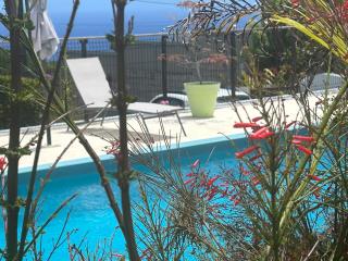 La case vétyver - 8