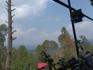 Niharika Homestay - Almora - 4