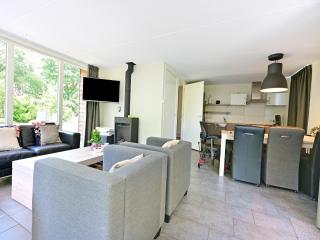 Chalet with gorgeous view of the natural surroundings - Weerselo - 1