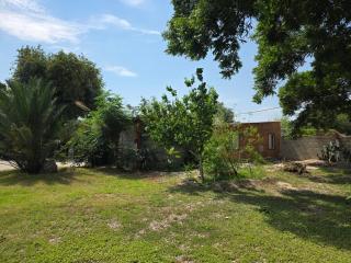 El paraíso - Piedras Negras - 6