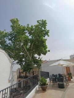 La Troje Pensión - Lucainena de las Torres - 6