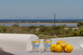 Lemonia Suites with outdoor BBQ area - Agia Anna Naxos - 9