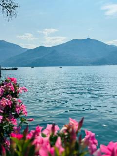 Apartment L'ulivo lake view private road 5 kilometers from Varenna - Lierna - 5