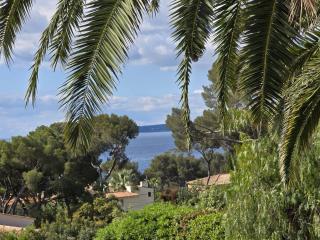La Caravelle grande villa vue mer piscine 5x11 - Les Issambres - 0