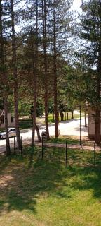 Apartman Kuršumlijska Banja - Kursumlijska Banja - 6