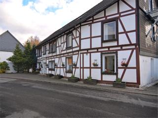 Modern group of homes close to Willingen and Winterberg with large garden - Medebach - 0