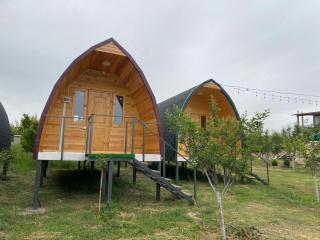Guesthouse Snow Leopard - 'Ak Ilbirs' - Tong - 6