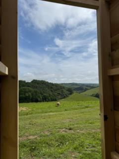 Hidden Valley Dorset - Powerstock - 5