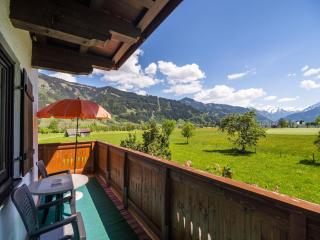 Contemporary Apartment in Maishofen near Ski Area - Maishofen - 4