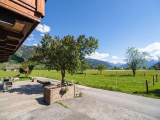 Contemporary Apartment in Maishofen near Ski Area - Maishofen - 3