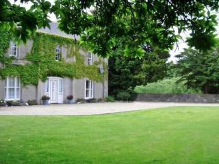 Wellpark House, Family Mansion - Oughterard - 0