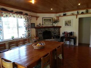 Wellpark House, Family Mansion - Oughterard - 1