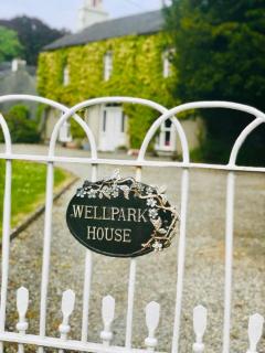 Wellpark House, Family Mansion - Oughterard - 8