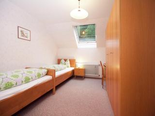 Modern Apartment in Bad Peterstal-Griesbach with Vineyards - Bad Peterstal - 9