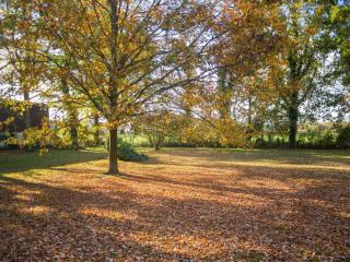 Historic Farmhouse in Hohnebostel with Garden near Lake - Langlingen - 6