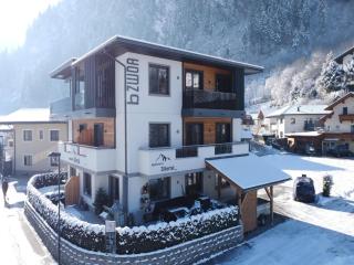 Spacious Apartment near Ski Area in Mayrhofen - 1
