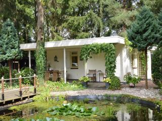 A detached bungalow with outdoor fireplace, covered terrace and pond in a forest plot - Wateren - 9