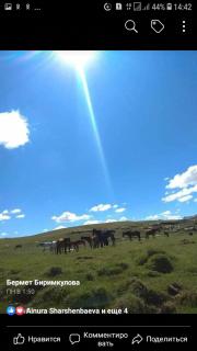Yurt camp Kol Kechuu - Tokolʼdosh - 8