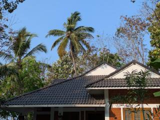 DreamWoods Cottage - 8