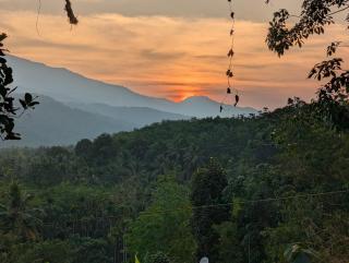 DreamWoods Cottage - 1