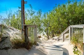 Baltic Forest - 8