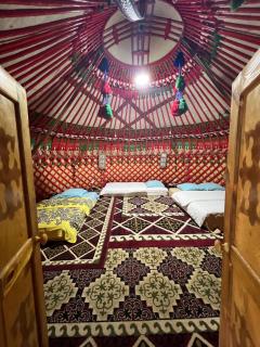 Yurt camp TILEK - Dzhetyoguz - 3