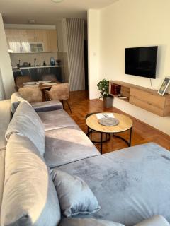 DarViva Apartment Niš, center, private garage parking, river view - Niš - 8