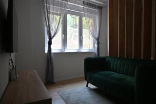 Studio Apartman Labirint - Rijeka - 7