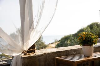 Golden Palm Tree Maisonette - 1