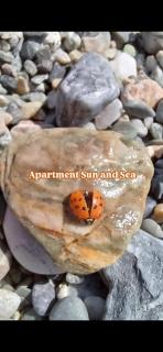 Appartamento Sun and Sea - Campora San Giovanni - 8