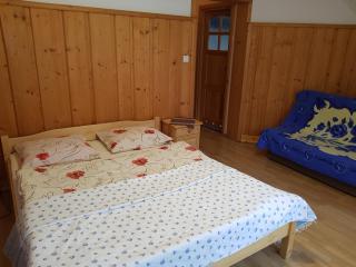 Maria Chyc wynajem pokoi gościnnych - Zakopane - 6