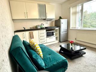 Elegant 1-Bedroom Flat, Wi-Fi, Near Oxford centre - Oxford - 8