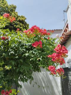 Casa céntrica en Girona - 8