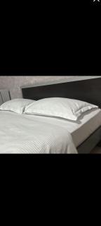 Dostoevsky's Rest EVN - - 9