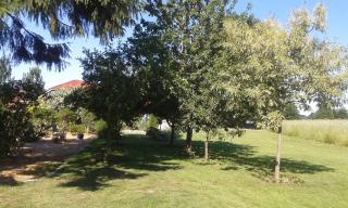 Wohnen im Grünen - Kirchlinteln - 3