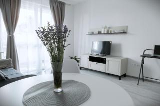 Stone Hill Apartment - Târgu Mureș - 6