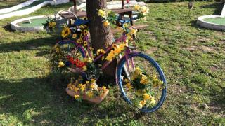 Roulotte au bord du canal du midi argeliers - 6