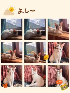 The Blue House - Pelling - 5