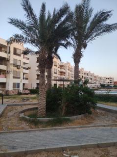 Hurghada - Hurghada - 7