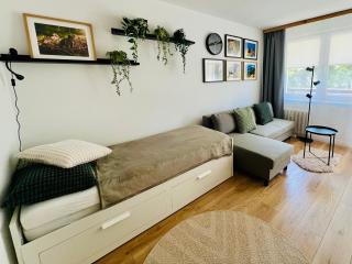 Mieszkanie babci Danusi w centrum Zakopanego - Juliusza Zborowskiego 3 mieszkanie 24 - Zakopane - 7