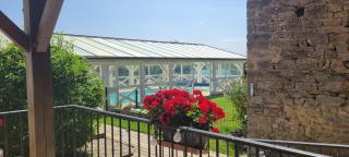 Bienvenue au Faré Hibiscus - 7