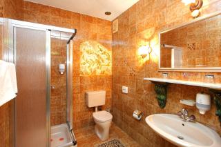 Hotel Böhmerwaldhof - Ulrichsberg - 9