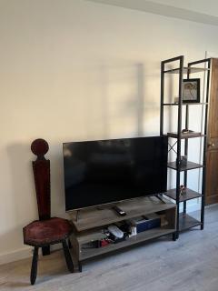 Edinburgh Centre - Meadows Residence - 4