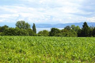 Holiday park, Immenstaad - Immenstaad am Bodensee - 5