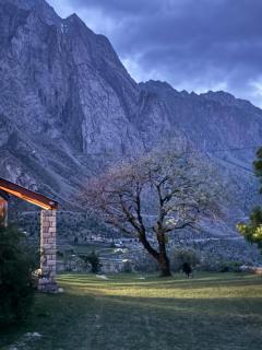 The Walnut Tree Lodge, Naltar - Jugut - 6