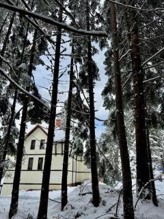 Berghof Eva - Hotel - Panichishte - 2