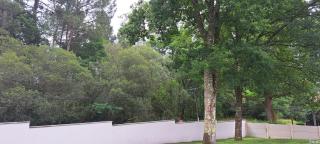 Maison d’hôte neuve : T2 pour 4 voyageurs - 9